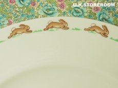 画像5: CH023 Royal Doulton Bunnykins  ロイヤルドルトン バニキンズ ディナープレート (5)