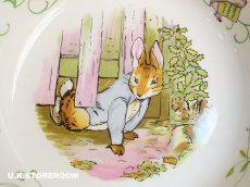 画像4: CH139 Wedgwood  Peter Rabbit  ウェッジウッド ピーターラビット グリーンライン サラダ/シリアルボウル (4)