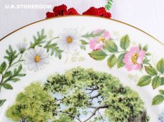 画像5: CP025 Coalport コールポート   ウッドランドシーズン 〜Summer Santer〜 (5)