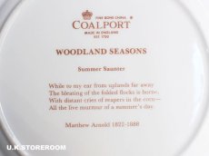 画像9: CP025 Coalport コールポート   ウッドランドシーズン 〜Summer Santer〜 (9)