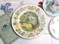 画像1: CP025 Coalport コールポート   ウッドランドシーズン 〜Summer Santer〜 (1)