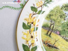 画像6: CP025 Coalport コールポート   ウッドランドシーズン 〜Summer Santer〜 (6)