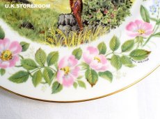 画像7: CP025 Coalport コールポート   ウッドランドシーズン 〜Summer Santer〜 (7)