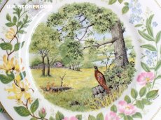 画像3: CP025 Coalport コールポート   ウッドランドシーズン 〜Summer Santer〜 (3)