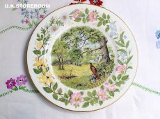 画像2: CP025 Coalport コールポート   ウッドランドシーズン 〜Summer Santer〜 (2)