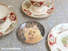 画像1: CH143 Royal Worcester Lesley Anne Ivory  レズリー・アン・アイボリー Ivory Cats ピンディッシュ  (1)