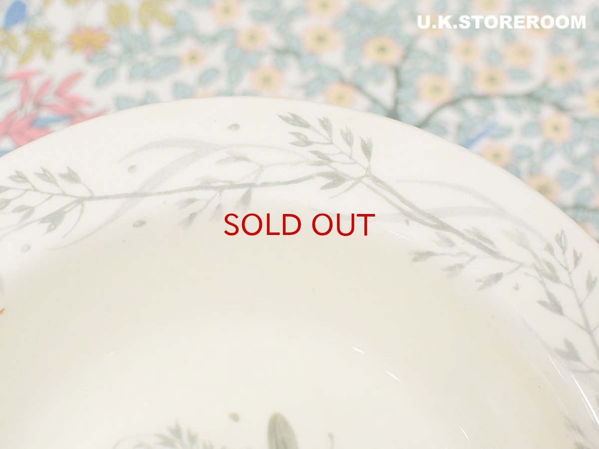 画像5: SC168 Susie Cooper  スージークーパー タイガーリリー ミニボウル (5)