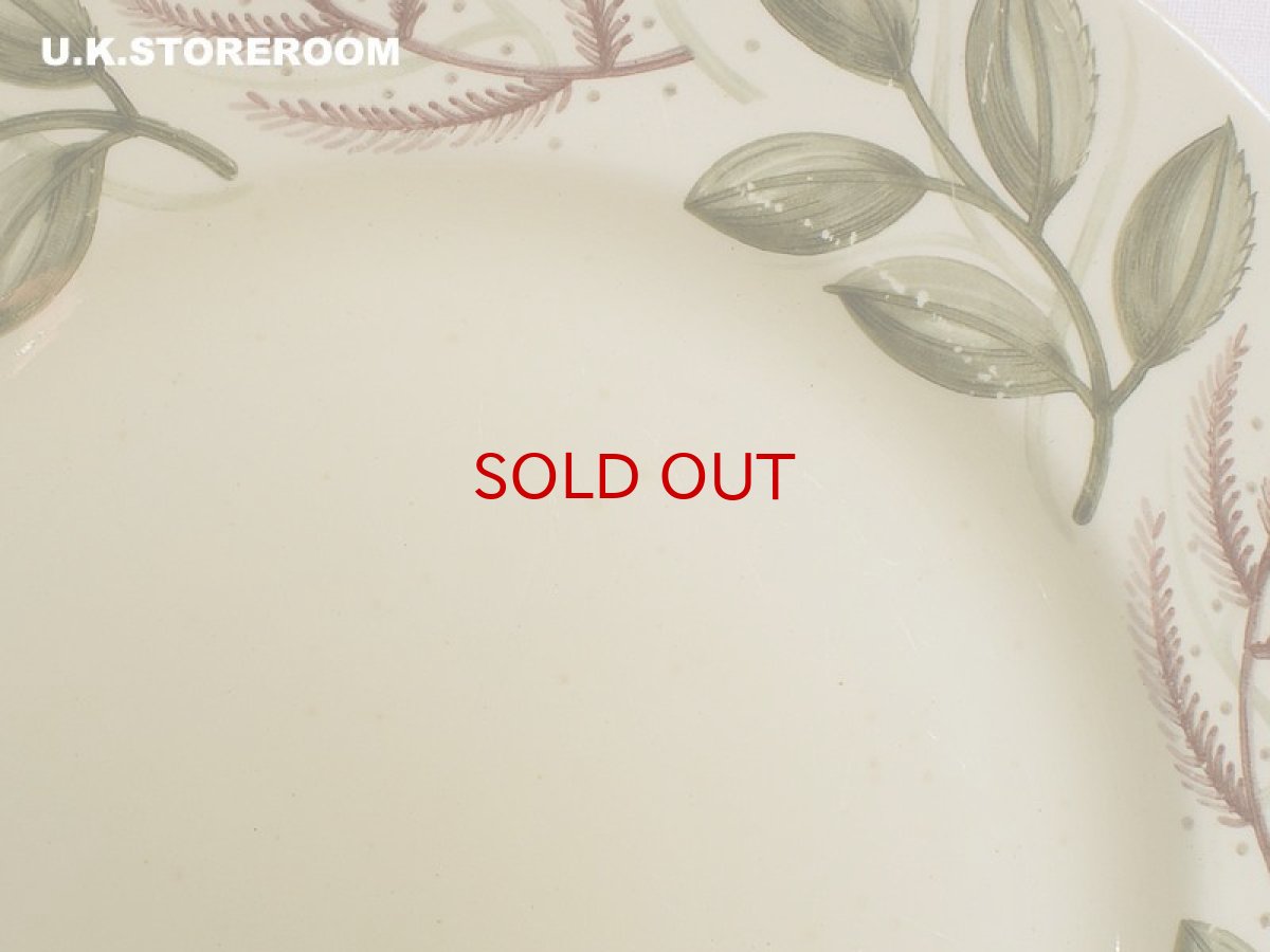 画像4: SC204 Susie Cooper  スージークーパー エバーラスティングライフ サラダプレート A (4)