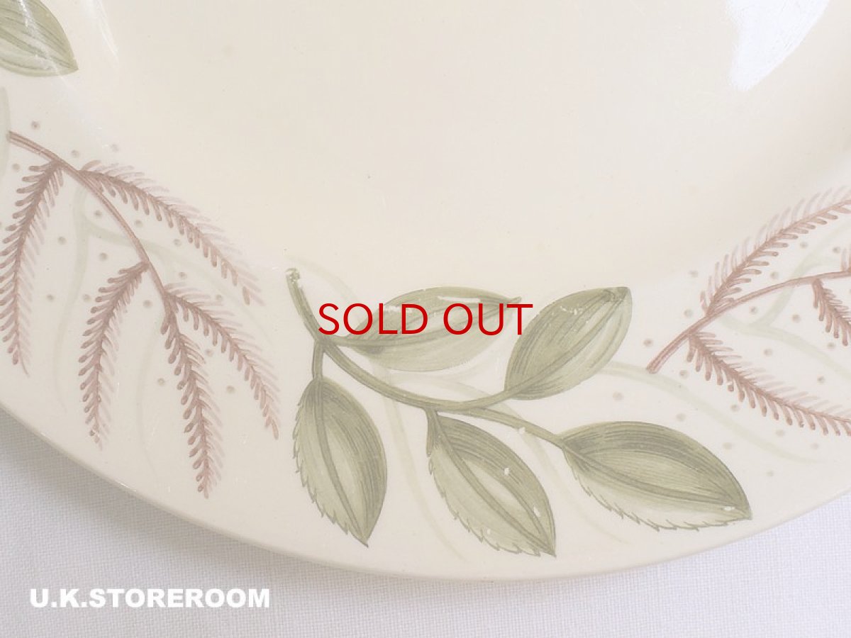 画像6: SC204 Susie Cooper  スージークーパー エバーラスティングライフ サラダプレート A (6)