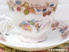 画像7: CH385 Royal Doulton Brambly Hedge  ロイヤルドルトン ブランブリーヘッジ オータムティーカップ＆ソーサー  (7)