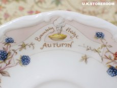 画像11: CH385 Royal Doulton Brambly Hedge  ロイヤルドルトン ブランブリーヘッジ オータムティーカップ＆ソーサー  (11)