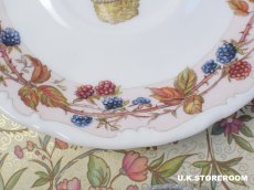 画像13: CH385 Royal Doulton Brambly Hedge  ロイヤルドルトン ブランブリーヘッジ オータムティーカップ＆ソーサー  (13)