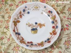 画像10: CH385 Royal Doulton Brambly Hedge  ロイヤルドルトン ブランブリーヘッジ オータムティーカップ＆ソーサー  (10)