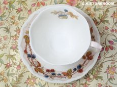 画像8: CH385 Royal Doulton Brambly Hedge  ロイヤルドルトン ブランブリーヘッジ オータムティーカップ＆ソーサー  (8)