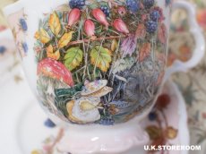 画像6: CH385 Royal Doulton Brambly Hedge  ロイヤルドルトン ブランブリーヘッジ オータムティーカップ＆ソーサー  (6)