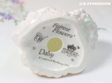 画像12: CP056 Coalport  コールポート フェアレストフラワーズ フィギュリン〜Daisy〜 (12)