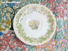 画像7: CH290 Royal Doulton Brambly Hedge  ブランブリーヘッジ スプリング ミニチュアティートリオ (7)