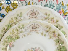 画像9: CH290 Royal Doulton Brambly Hedge  ブランブリーヘッジ スプリング ミニチュアティートリオ (9)