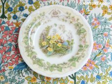 画像8: CH290 Royal Doulton Brambly Hedge  ブランブリーヘッジ スプリング ミニチュアティートリオ (8)