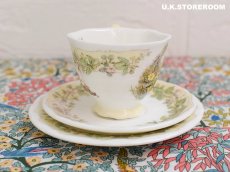 画像3: CH290 Royal Doulton Brambly Hedge  ブランブリーヘッジ スプリング ミニチュアティートリオ (3)