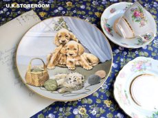 画像1: CH316 Royal Worcester  Pam Cooper   パム・クーパー  Mixed Company Collection  -A Moment To Unwind- ピクチャープレート  (1)