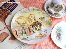 画像1: CH318 Royal Worcester  Pam Cooper   パム・クーパー  Mixed Company Collection  -Picnic Prowlers- ピクチャープレート  (1)