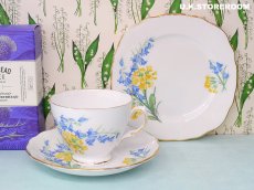 画像3: MB169 Royal Vale ロイヤルヴェール ブルーベル＆菜の花  ティートリオ (3)