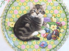 画像3: CH325 Aynsley Lesley Anne Ivory  レズリー・アン・アイボリー Meet My Kitten 4月 ピクチャープレート  (3)