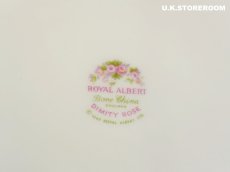 画像8: RA215 Royal Albert   ロイヤルアルバート ディミティローズ BBプレート (8)