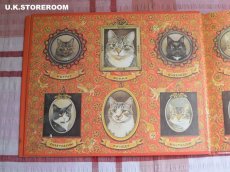 画像5: CH329 Lesley Anne Ivory  レズリー・アン・アイボリー 〜Meet My Cats〜 絵本 (5)