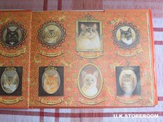 画像6: CH329 Lesley Anne Ivory  レズリー・アン・アイボリー 〜Meet My Cats〜 絵本 (6)