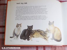 画像8: CH329 Lesley Anne Ivory  レズリー・アン・アイボリー 〜Meet My Cats〜 絵本 (8)