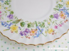 画像4: OB372 Royal Doulton   ロイヤルドルトン イースターモーン BBプレート (4)