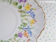 画像3: OB372 Royal Doulton   ロイヤルドルトン イースターモーン BBプレート (3)