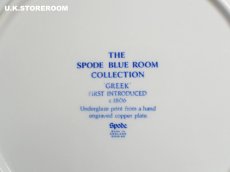 画像8: SPO263 Spode スポード  ブルールームコレクション -ローマ- パスタボウル (8)