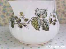 画像6: RW092 Royal Worcester  ロイヤルウースターラビニア 6人用クリーマー (6)