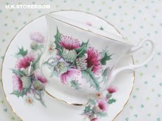 画像11: RA235 Royal Albert  ロイヤルアルバート サマータイム  エーヴベリー  ティーカップ＆ソーサー (11)