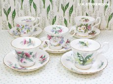 画像13: RA234 Royal Albert  ロイヤルアルバート サマータイム  チェベレル ティーカップ＆ソーサー (13)