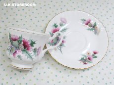 画像10: RA235 Royal Albert  ロイヤルアルバート サマータイム  エーヴベリー  ティーカップ＆ソーサー (10)