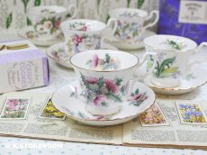 画像1: RA235 Royal Albert  ロイヤルアルバート サマータイム  エーヴベリー  ティーカップ＆ソーサー (1)