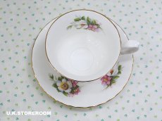 画像6: RA238 Royal Albert  ロイヤルアルバート サマータイム ウッドボーロ― ティーカップ＆ソーサー (6)