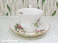 画像3: RA238 Royal Albert  ロイヤルアルバート サマータイム ウッドボーロ― ティーカップ＆ソーサー (3)