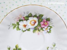 画像8: RA238 Royal Albert  ロイヤルアルバート サマータイム ウッドボーロ― ティーカップ＆ソーサー (8)