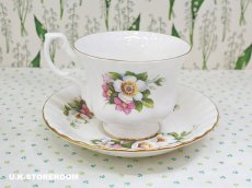 画像4: RA238 Royal Albert  ロイヤルアルバート サマータイム ウッドボーロ― ティーカップ＆ソーサー (4)