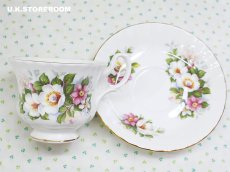 画像10: RA238 Royal Albert  ロイヤルアルバート サマータイム ウッドボーロ― ティーカップ＆ソーサー (10)