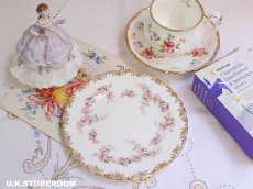 画像1: RA239 Royal Albert  ロイヤルアルバート ディミティローズ ケーキプレート (1)