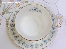 画像11: RA241 Royal Albert  ロイヤルアルバート メモリーレーン ティートリオ (11)