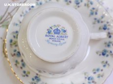 画像15: RA241 Royal Albert  ロイヤルアルバート メモリーレーン ティートリオ (15)