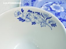 画像7: SPO307 Spode スポード  ブルールームコレクション -ボタニカル- ティーカップ＆ソーサー (7)