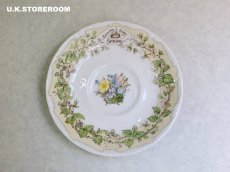 画像11: CH383 Royal Doulton Brambly Hedge  ロイヤルドルトン ブランブリーヘッジ ティーカップ＆ソーサー 〜スプリング〜 (11)